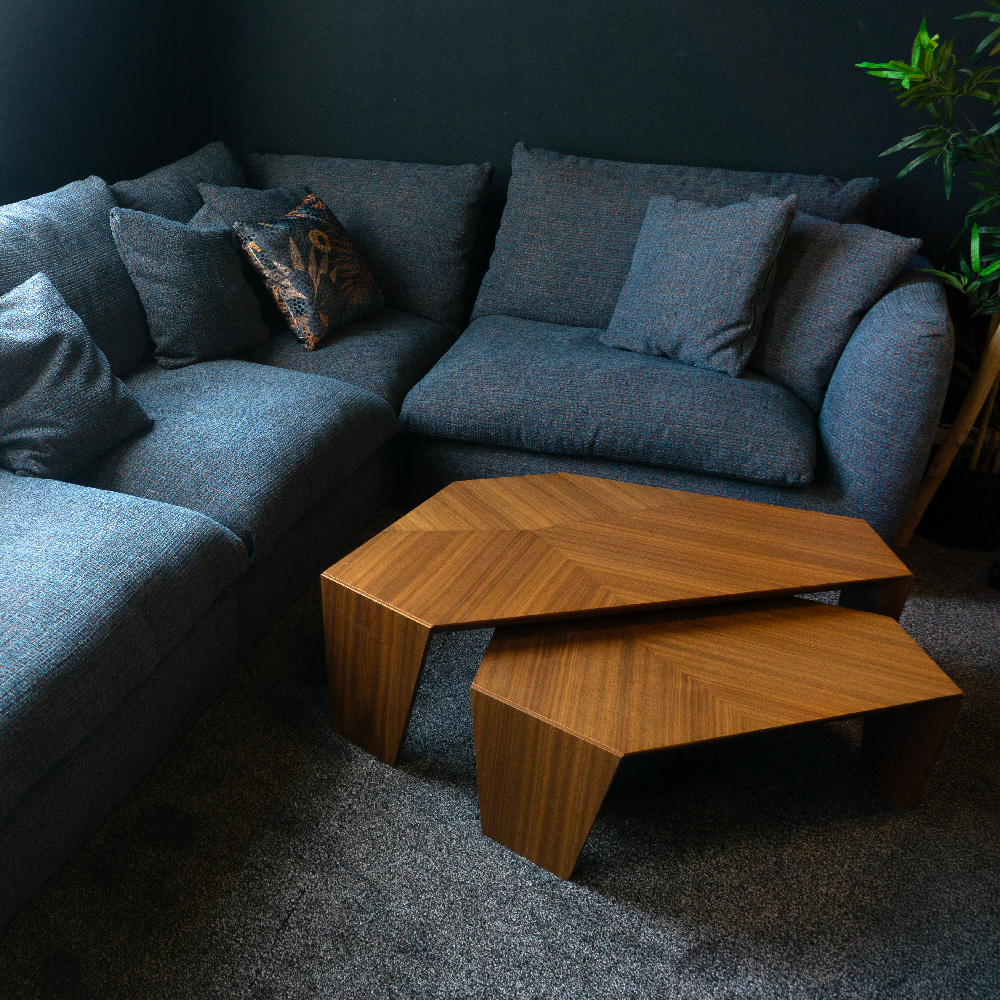 Luxury-designer-room-interiors-sofas
